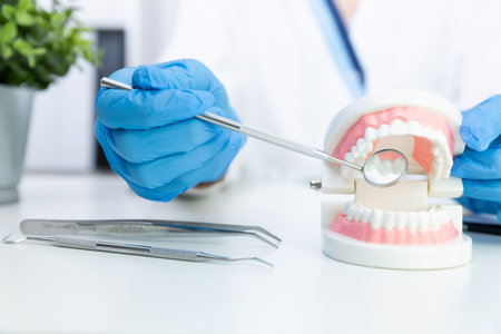 Female dentist holding professional stomatology tool and pointing at the teeth model. Dental hygiene...