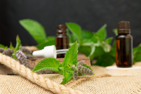 Natural peppermint essential oil in a glass bottle with fresh mint leaves on wooden background