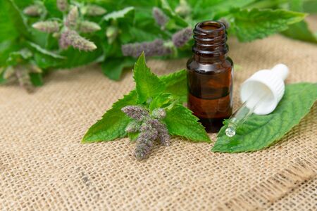 Natural peppermint essential oil in a glass bottle with fresh mint leaves on wooden backgroundの写真素材