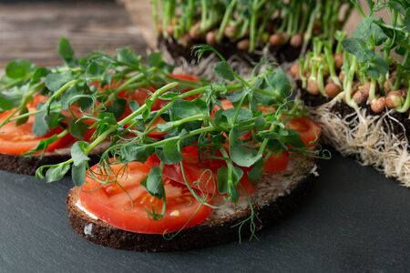 Growing pea sprouts in black soil. Healthy eating,vegeterian concept. On wooden black backgroundの写真素材