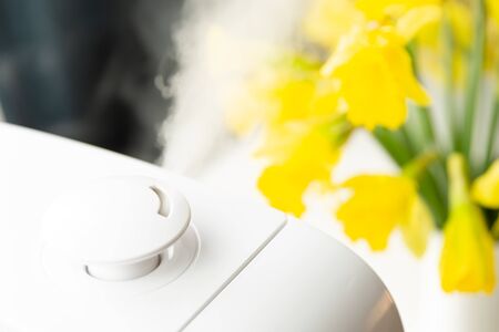 Living room humidifier for healthy hair in a natural light with yellow flowers in a backgroundの写真素材