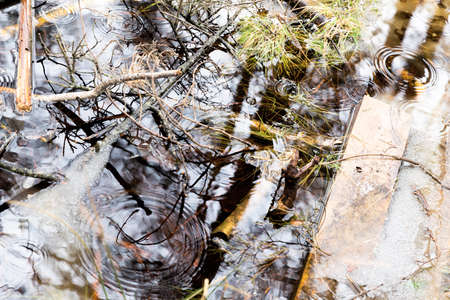 Top view of a small river with standing water. While raining and a beautiful reflection of trees.の写真素材
