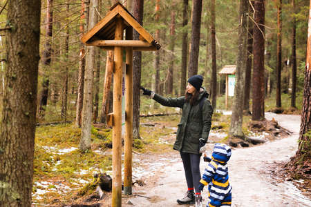 Young mother and child taking a walk in a national park woods. Mother showing information on stand to boy. Healthy living concept.の写真素材