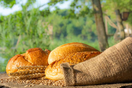 Loaves of wheat bread and spikelets of wheat lie on a wooden table covered with burlapの写真素材