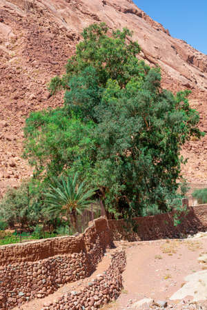 Egypt, Catherine's monastery on a bright sunny day, mountain viewの写真素材