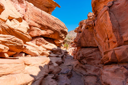Colored Salam canyon in the Sinai Peninsula, beautiful curved limestone stones.