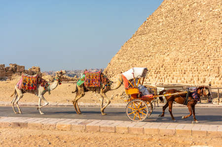 Horse carriages against the background of the pyramid of the Giza Valleyの写真素材
