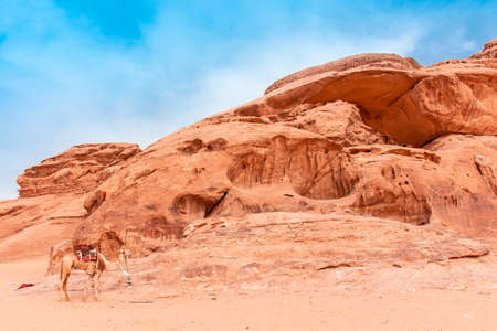 Sands and mountains of Wadi Rum desert in Jordan, beautiful daytime landscapeの写真素材