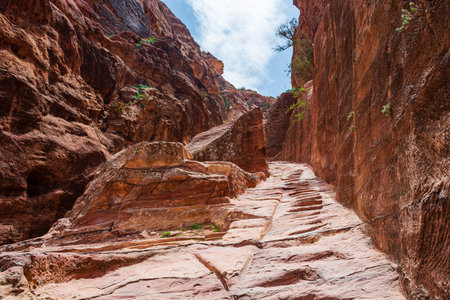 Jordan, trail in the mountains of Petra, daytime landscape on a sunny bright day