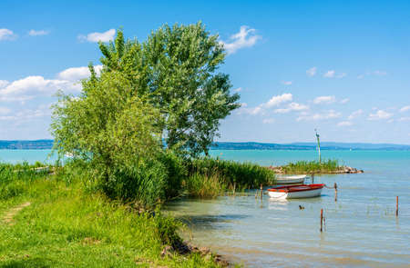 Beautiful summer lake landscape with turquoise water.の写真素材