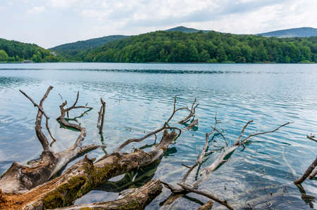 Plitvice lakes in Croatia, beautiful summer landscape with fallen tree in turquoise waterの写真素材