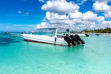 Dominican Republic, beautiful Caribbean coast with turquoise water and palm trees.の写真素材