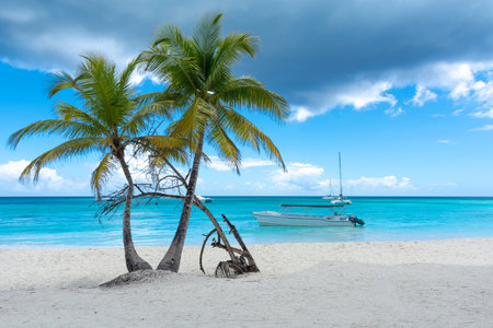 Dominican Republic, beautiful Caribbean coast with turquoise water and palm trees.の写真素材