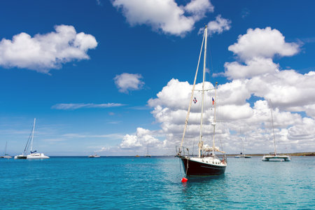 Dominican Republic, beautiful Caribbean coast with turquoise water and palm trees.の写真素材
