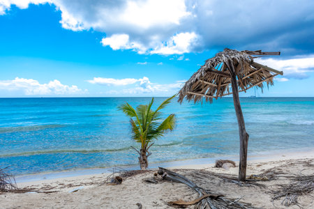 Dominican Republic, beautiful Caribbean coast with turquoise water and palm trees.の写真素材