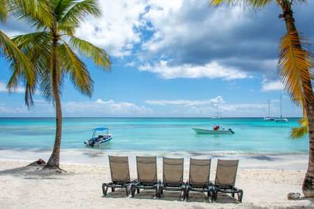 Dominican Republic, beautiful Caribbean coast with turquoise water and palm trees.の写真素材