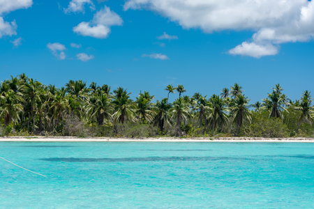 Dominican Republic, beautiful Caribbean coast with turquoise water and palm trees.の写真素材