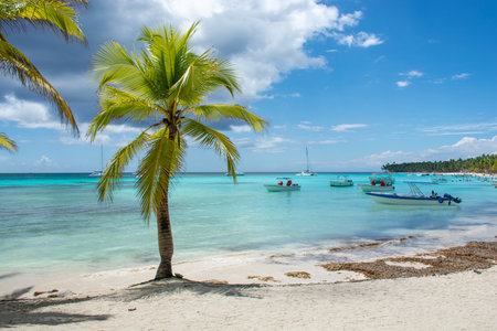 Dominican Republic, beautiful Caribbean coast with turquoise water and palm trees.の写真素材