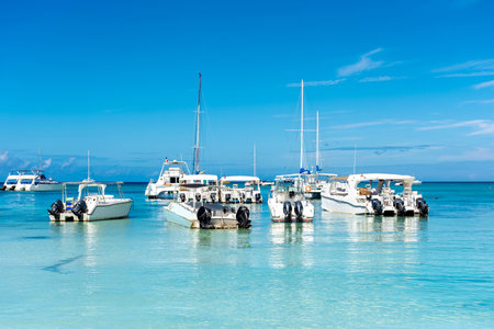 Dominican Republic, beautiful Caribbean coast with turquoise water and palm trees.の写真素材