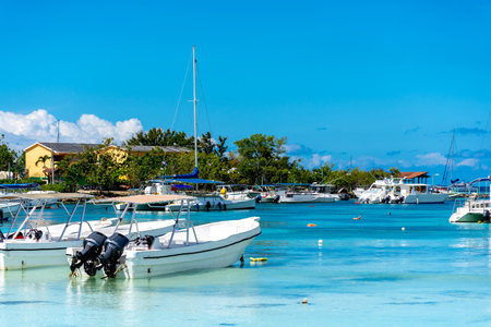 Dominican Republic, beautiful Caribbean coast with turquoise water and palm trees.の写真素材