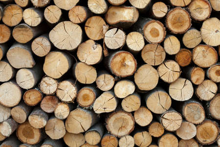 Sawed tree trunks and branches in different sizes, piled up in blue container Wood storage industryの写真素材