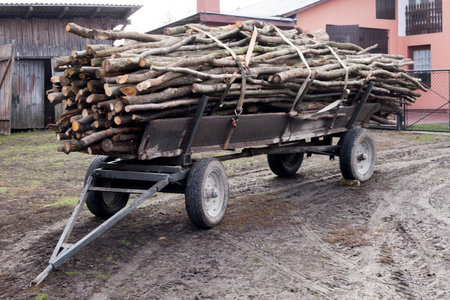 Trailer full of chopped fire-wood old fashioned farmers cart at Poland's countryside rural life
