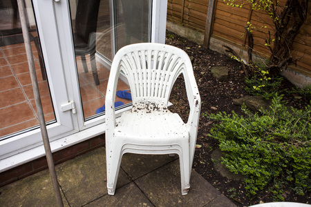 Dirty garden plastic chairs ready for cleaning. Home improvements and renovations. Plastic objects in the garden. Old and used garden furniture. White plastic garden chair.の写真素材