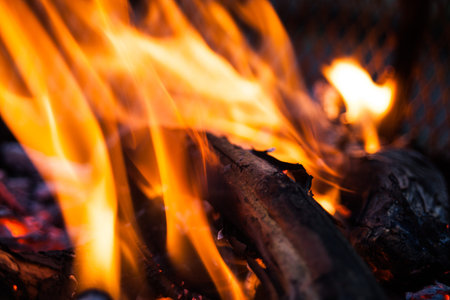 Extreme closeup of open fire flames. Barbecue fire preparing in the outdoors. Burning wood in...