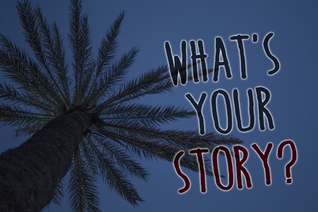 Text sign showing What'S Your Story Question. Conceptual photo asking someone to tell me about himself Tree palm sky blue natural scene landscape love message memories beautifulの写真素材