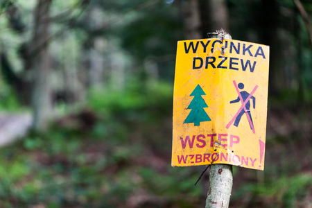 Metal plate sign with Polish language. Forbiden entry and forbiden chopping tree. Nature concept image for saving forests. Wycinka drzew wstep wzbronionyの写真素材