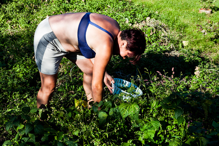 A woman wearing brassiere picking up herbs from the ground. The brunet mother harvesting crops from the vegetable garden. Cultivating the soil for planting. Farming and gardening ideasの写真素材