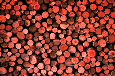 Background of dry chopped firewood logs stacked up on top of each other in a pile.の写真素材