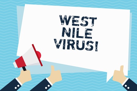 Conceptual hand writing showing West Nile Virus. Business photo text Viral infection cause typically spread by mosquitoesの写真素材