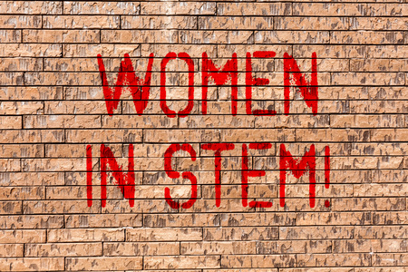 Word writing text Women In Stem. Business photo showcasing Science Technology Engineering Mathematics Scientist Research Brick Wall art like Graffiti motivational call written on the wallの写真素材