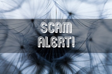 Text sign showing Scam Alert. Business photo text fraudulently obtain money from victim by persuading himの写真素材