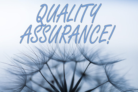 Handwriting text writing Quality Assurance. Conceptual photo preventing mistakes and defects in analysisufactured productsの写真素材