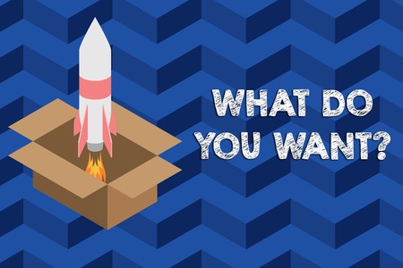 Writing note showing What Do You Want Question. Business concept for say or write in order to ask demonstrating about something Fire launching rocket carton box. Starting up project. Fuel inspirationの写真素材
