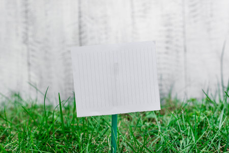 Plain empty paper attached to a stick and placed in the green grassy land