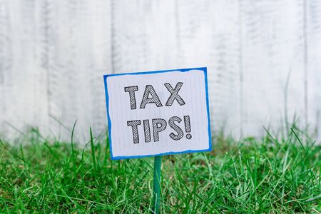Handwriting text Tax Tips. Conceptual photo compulsory contribution to state revenue levied by government Plain empty paper attached to a stick and placed in the green grassy landの写真素材