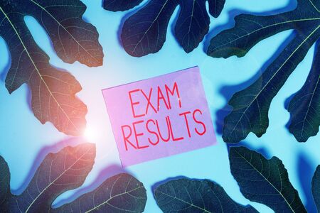 Handwriting text Exam Results. Conceptual photo An outcome of a formal test that shows knowledge or...