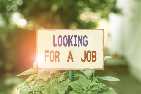 Text sign showing Looking For A Job. Business photo text Unemployed seeking work Recruitment Huanalysis Resources Plain empty paper attached to a stick and placed in the green leafy plantsの写真素材