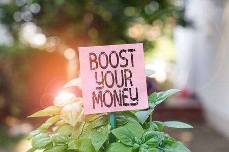 Text sign showing Boost Your Money. Business photo showcasing increase your bank saving using effective methods Plain empty paper attached to a stick and placed in the green leafy plantsの写真素材