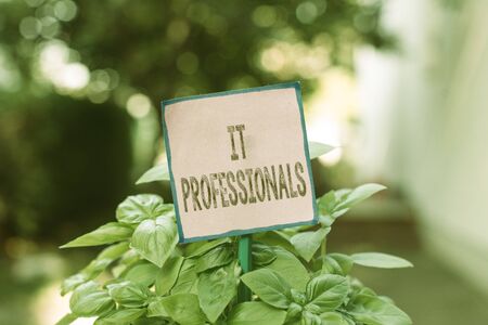 Writing note showing It Professionals. Business concept for any demonstrating associatedand expert with the computer world Plain paper attached to stick and placed in the grassy landの写真素材