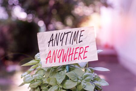 Word writing text Anytime Anywhere. Business photo showcasing saying that you can do something at every place and moment Plain empty paper attached to a stick and placed in the green leafy plantsの写真素材