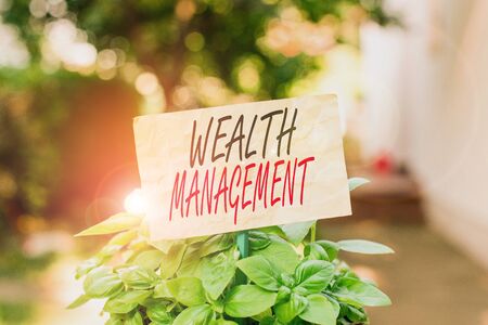 Word writing text Wealth Management. Business photo showcasing perforanalysisce tracking of the funds as per regular market Plain empty paper attached to a stick and placed in the green leafy plantsの写真素材