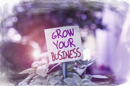 Handwriting text writing Grow Your Business. Conceptual photo Achieve higher profit Provide better return of investment Plain empty paper attached to a stick and placed in the green leafy plantsの写真素材