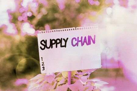 Text sign showing Supply Chain. Business photo showcasing network between a company and suppliers in producing a product Plain empty paper attached to a stick and placed in the green leafy plantsの写真素材
