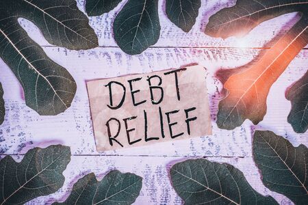 Conceptual hand writing showing Debt Relief. Concept meaning a reduction in the amount of debt that a country has to pay Leaves surrounding notepaper above a classic wooden tableの写真素材