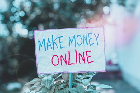 Conceptual hand writing showing Make Money Online. Concept meaning Ecommerce Trading Selling over the internet Freelance Plain paper attached to stick and placed in the grassy landの写真素材
