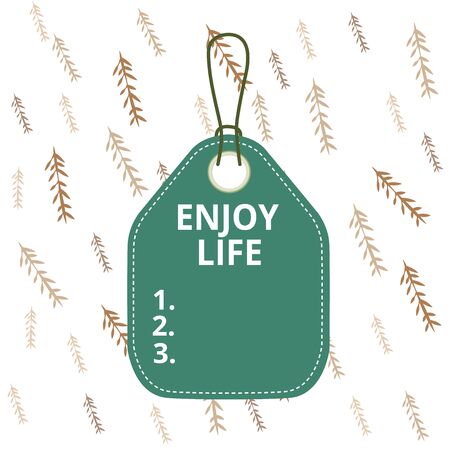 Handwriting text writing Enjoy Life. Conceptual photo having a happy point of view and a positive outlook in life Empty tag blank space colorful background label rectangle attached stringの写真素材